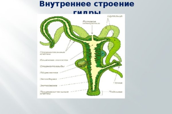 Кракен рабочая ссылка 2024