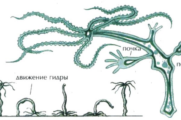 Взломанный аккаунт кракен